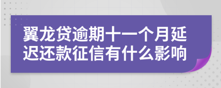 翼龙贷逾期十一个月延迟还款征信有什么影响