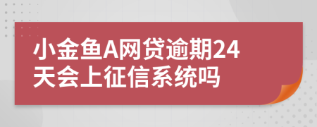 小金鱼A网贷逾期24天会上征信系统吗