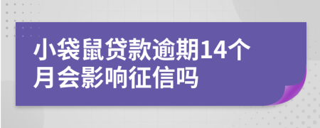 小袋鼠贷款逾期14个月会影响征信吗