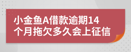 小金鱼A借款逾期14个月拖欠多久会上征信