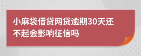 小麻袋借贷网贷逾期30天还不起会影响征信吗