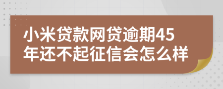 小米贷款网贷逾期45年还不起征信会怎么样