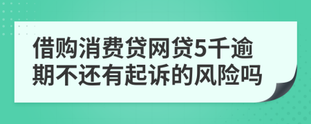 借购消费贷网贷5千逾期不还有起诉的风险吗