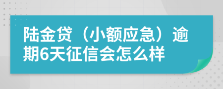 陆金贷（小额应急）逾期6天征信会怎么样