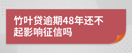 竹叶贷逾期48年还不起影响征信吗