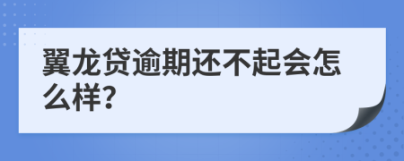 翼龙贷逾期还不起会怎么样？