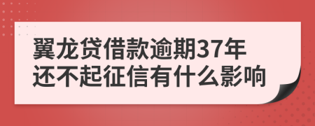 翼龙贷借款逾期37年还不起征信有什么影响