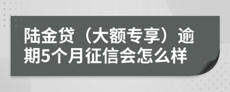 陆金贷（大额专享）逾期5个月征信会怎么样