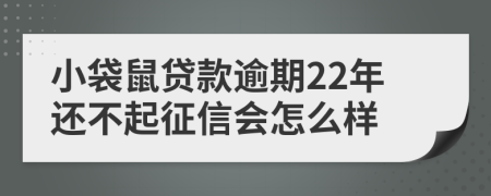 小袋鼠贷款逾期22年还不起征信会怎么样