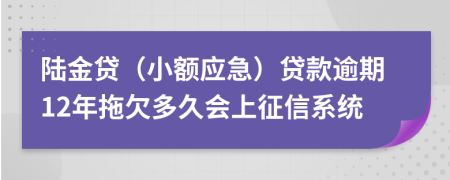 陆金贷（小额应急）贷款逾期12年拖欠多久会上征信系统