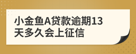 小金鱼A贷款逾期13天多久会上征信