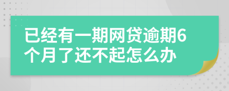 已经有一期网贷逾期6个月了还不起怎么办