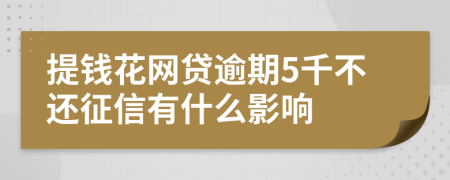 提钱花网贷逾期5千不还征信有什么影响