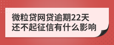 微粒贷网贷逾期22天还不起征信有什么影响