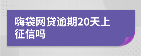 嗨袋网贷逾期20天上征信吗