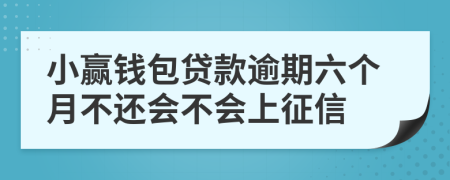 小赢钱包贷款逾期六个月不还会不会上征信