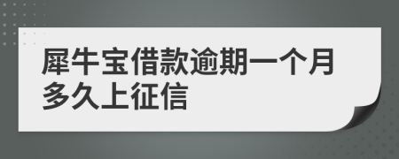 犀牛宝借款逾期一个月多久上征信