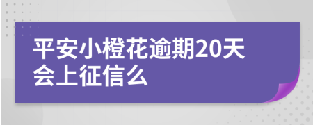 平安小橙花逾期20天会上征信么