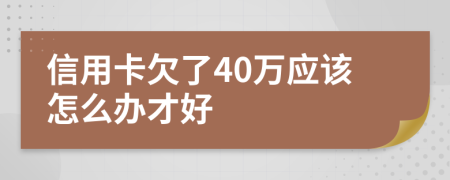 信用卡欠了40万应该怎么办才好