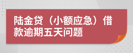 陆金贷（小额应急）借款逾期五天问题