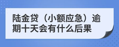 陆金贷（小额应急）逾期十天会有什么后果