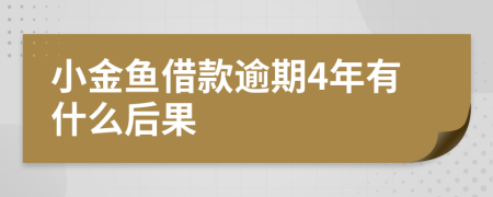 小金鱼借款逾期4年有什么后果