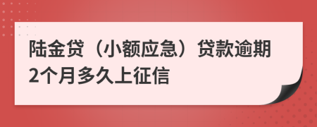 陆金贷（小额应急）贷款逾期2个月多久上征信