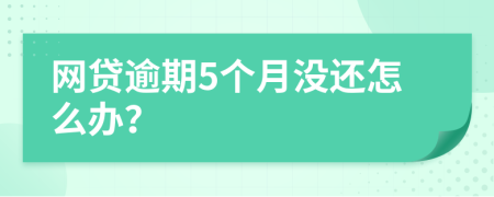 网贷逾期5个月没还怎么办？