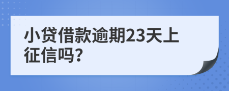 小贷借款逾期23天上征信吗？