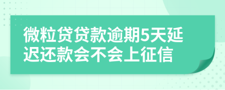 微粒贷贷款逾期5天延迟还款会不会上征信