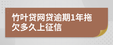 竹叶贷网贷逾期1年拖欠多久上征信