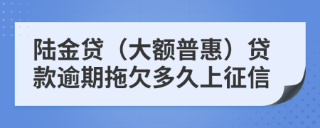 陆金贷（大额普惠）贷款逾期拖欠多久上征信