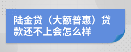 陆金贷（大额普惠）贷款还不上会怎么样