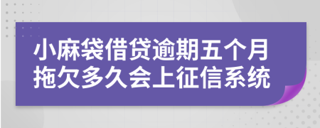 小麻袋借贷逾期五个月拖欠多久会上征信系统