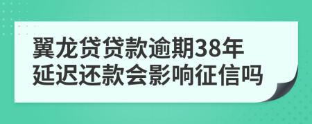 翼龙贷贷款逾期38年延迟还款会影响征信吗