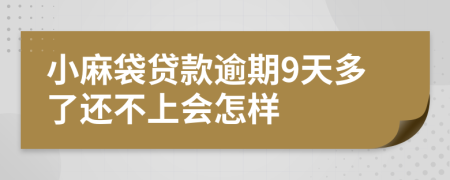 小麻袋贷款逾期9天多了还不上会怎样
