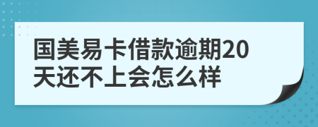 国美易卡借款逾期20天还不上会怎么样