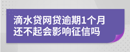 滴水贷网贷逾期1个月还不起会影响征信吗