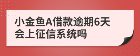 小金鱼A借款逾期6天会上征信系统吗