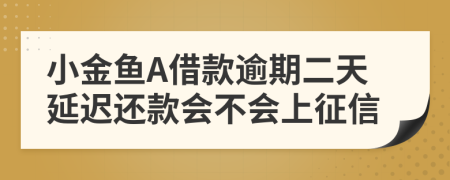 小金鱼A借款逾期二天延迟还款会不会上征信