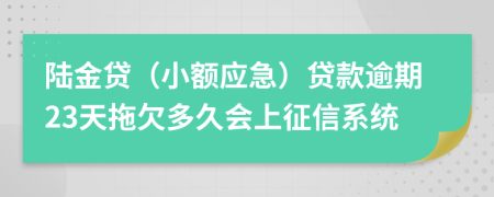 陆金贷（小额应急）贷款逾期23天拖欠多久会上征信系统