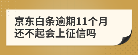 京东白条逾期11个月还不起会上征信吗