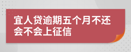 宜人贷逾期五个月不还会不会上征信