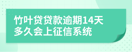 竹叶贷贷款逾期14天多久会上征信系统