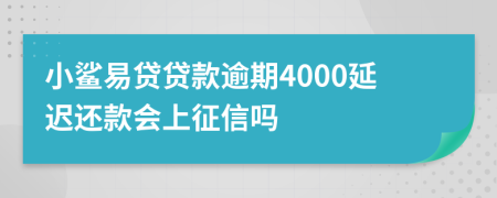 小鲨易贷贷款逾期4000延迟还款会上征信吗