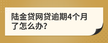 陆金贷网贷逾期4个月了怎么办？