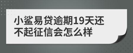 小鲨易贷逾期19天还不起征信会怎么样