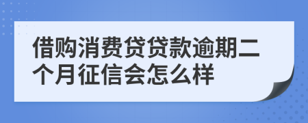 借购消费贷贷款逾期二个月征信会怎么样