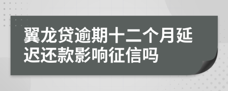 翼龙贷逾期十二个月延迟还款影响征信吗