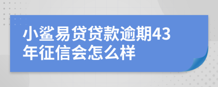 小鲨易贷贷款逾期43年征信会怎么样